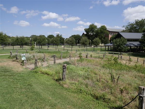 Mayborn Museum Complex (7/23/2022 - Credits: Matt Miller)