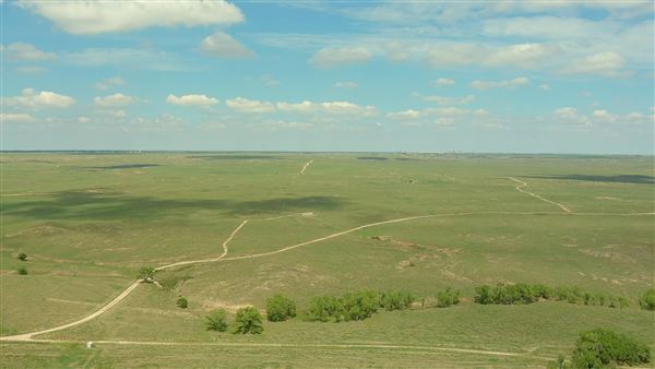 Blue Ranch (8/25/2022 - Credits: Allen Garland)