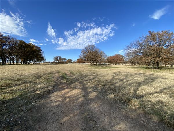 Fairlea Longhorn Ranch (12/7/2022)