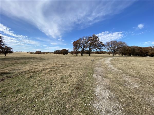 Fairlea Longhorn Ranch (12/7/2022)