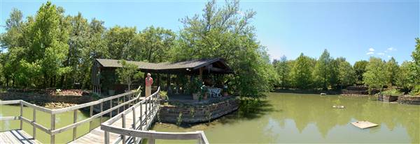 Clark Gardens Botanical Park (5/30/2009)