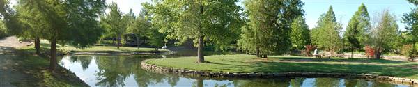 Clark Gardens Botanical Park (5/30/2009)