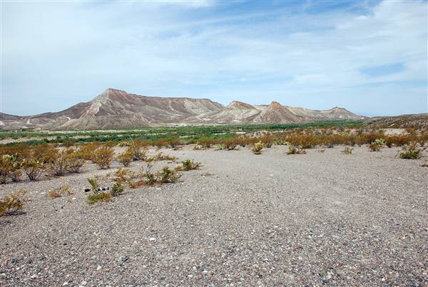 River Road - FM 170 (6/10/2010)