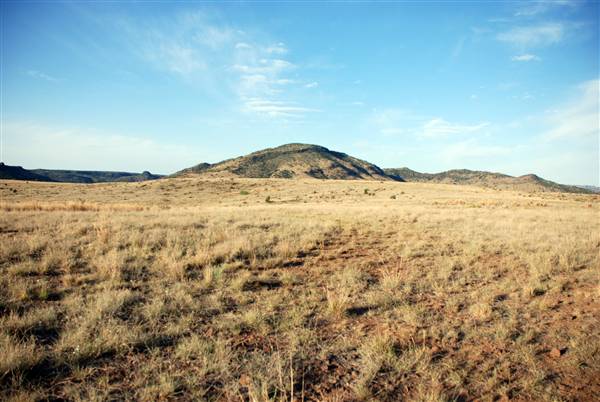 CF Ranch (6/10/2010)