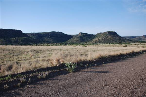 CF Ranch (6/10/2010)