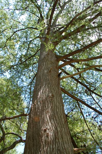 Blue Hole Regional Park (8/25/2010)
