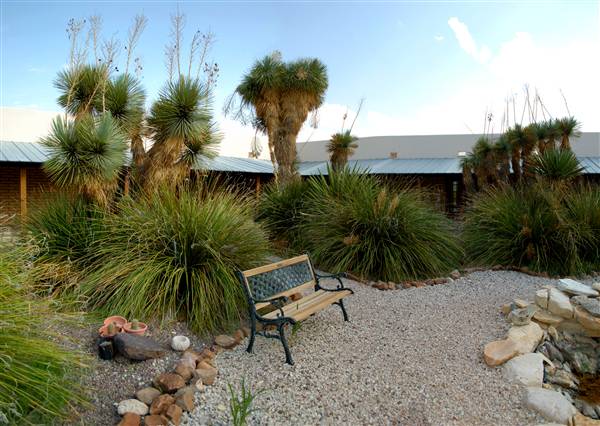 Big Bend Ranch State Park - Barton Warnock Environmental Education Center (9/17/2010)