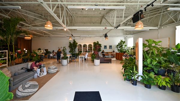 Eden Plant Co. (6/27/2023 - Credits: Houston Film Commission)