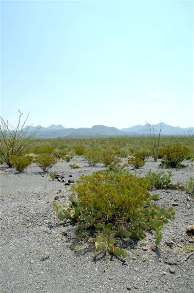 Big Bend Ranch State Park - Vista del Bofecillos (9/23/2010)