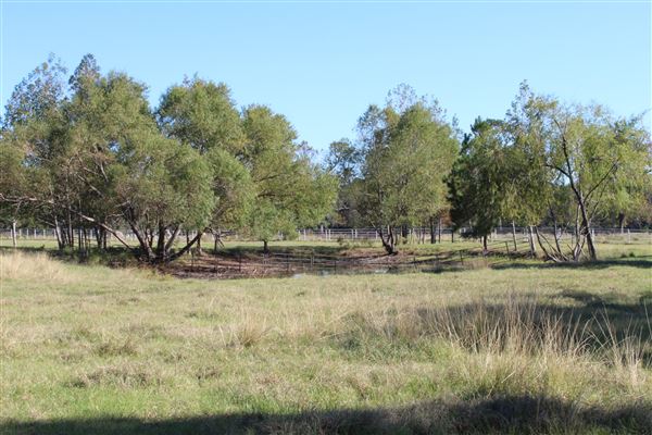 Hidden Meadows Ranch (7/6/2023 - Credits: Liza Clark)