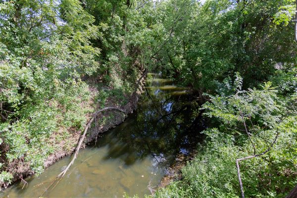 Dr. Robert Cluck Linear Park (5/1/2023 - Credits: Owner)