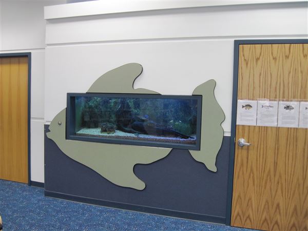 Ron Wright Lake Arlington Branch (5/1/2023 - Credits: Owner)