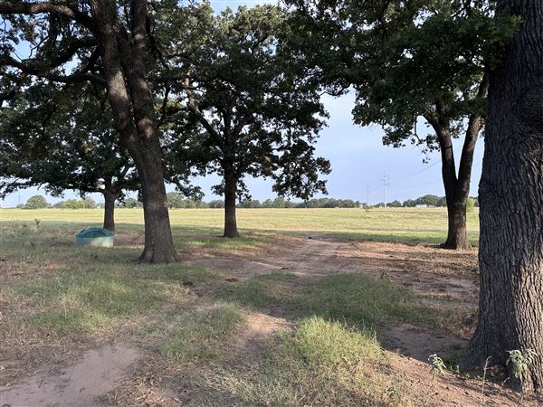 Fairlea Longhorn Ranch (7/20/2023 - Credits: K.Beck)