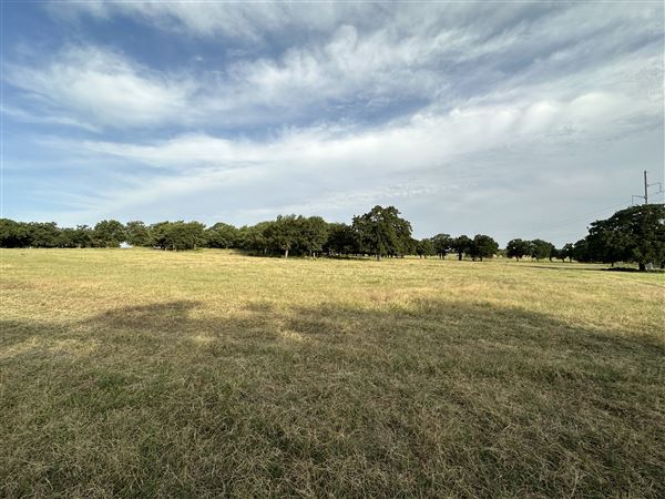 Fairlea Longhorn Ranch (7/20/2023 - Credits: K.Beck)