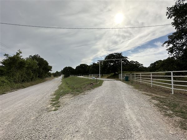 Fairlea Longhorn Ranch (7/20/2023 - Credits: K.Beck)
