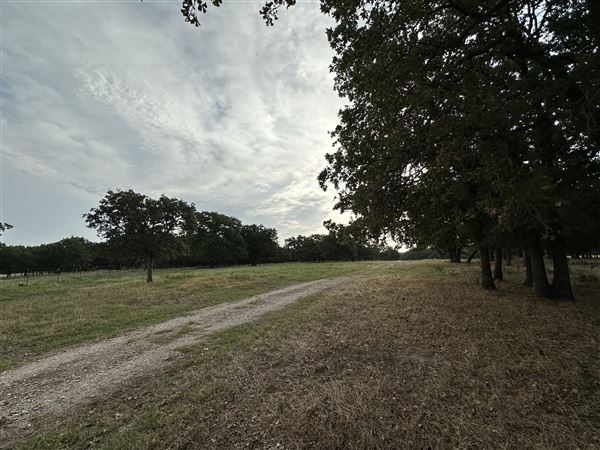 Fairlea Longhorn Ranch (7/20/2023 - Credits: K.Beck)