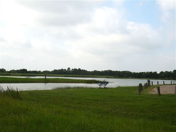 Lake Bryan (6/20/2023 - Credits: Ali Nichols)