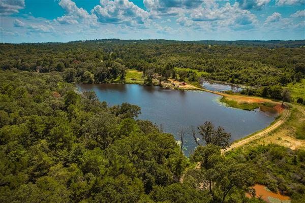 Dead Cat Ranch (9/21/2023 - Credits: Betts DEAD CAT RANCH)