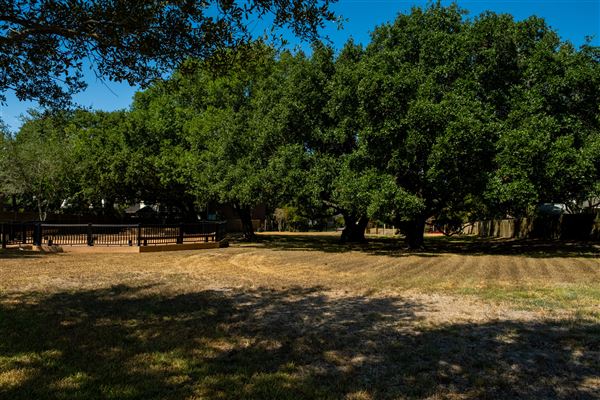 Freedom Tree Park (8/15/2023 - Credits: Jaxon Lara)
