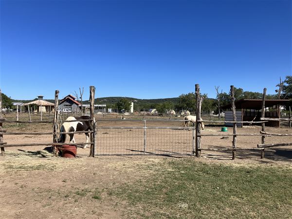 Montesino Ranch (10/18/2023)