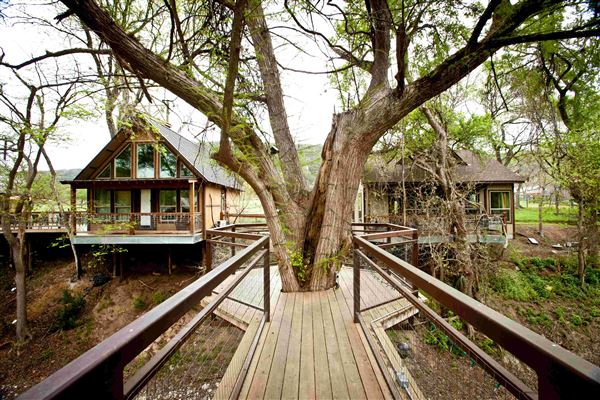 River Road Treehouses (1/9/2024 - Credits: River Road Treehouses)