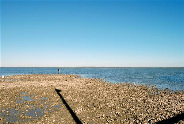 Goose Island State Park (12/2/2010)