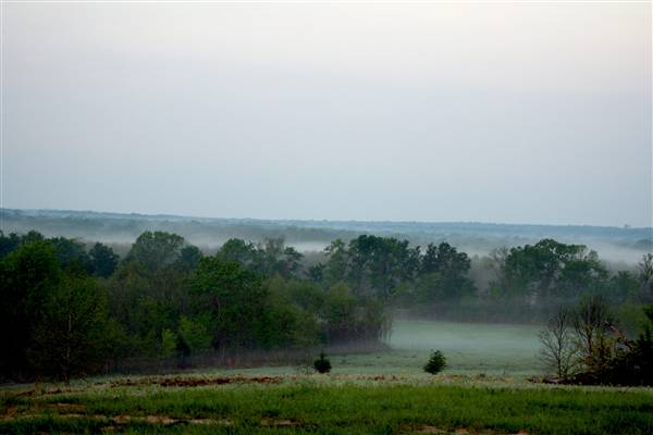 Mineola Nature Preserve (2/11/2009 - Credits: FFTX)