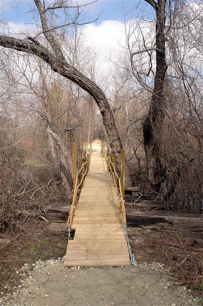 Mineola Nature Preserve (2/11/2009 - Credits: FFTX)