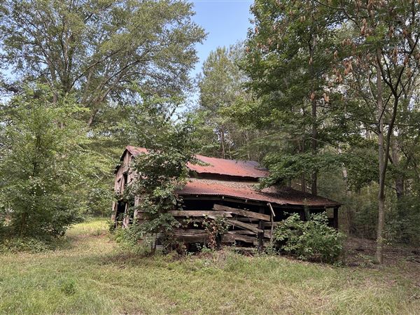 Flournoy Farm (9/24/2024 - Credits: submitted by: Sue Wisdom)