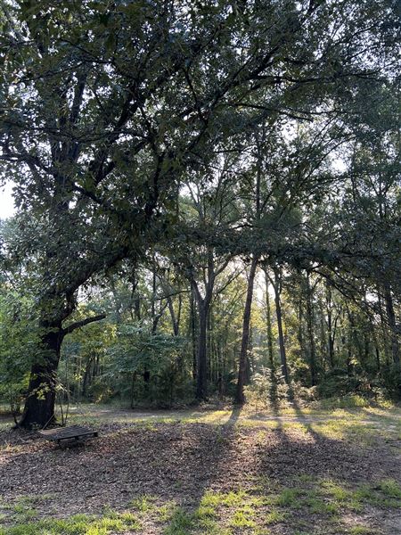 Flournoy Farm (9/24/2024 - Credits: submitted by: Sue Wisdom)
