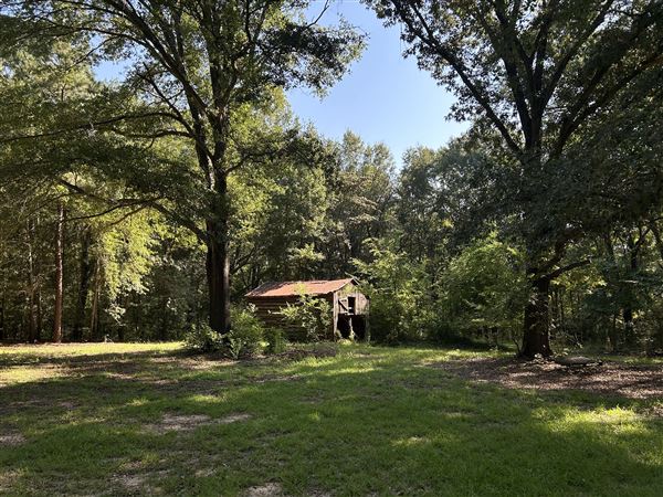 Flournoy Farm (9/24/2024 - Credits: submitted by: Sue Wisdom)