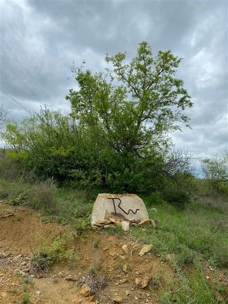 Tipton Ranch (10/11/2024 - Credits: John Cochran)