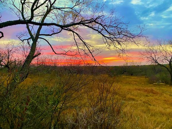Tipton Ranch (10/11/2024 - Credits: John Cochran)