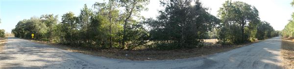 Jones Road (10/29/2024 - Credits: Alex Payne)