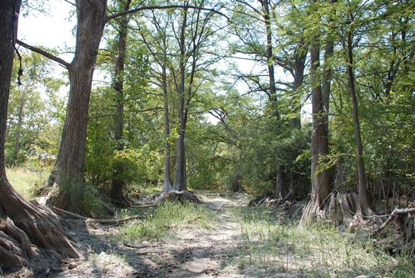 Blue Hole Regional Park (9/14/2011)