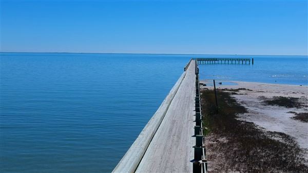 Rockport Beach Park (2/25/2025 - Credits: submitted by: Jennifer Day)