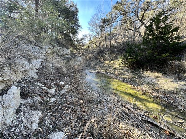 Lost Creek at Wimberley (3/4/2025 - Credits: Todd Nasca)