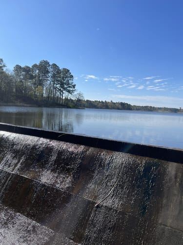 Bringle Lake Park (3/7/2025 - Credits: submitted by: Brooke Stone)