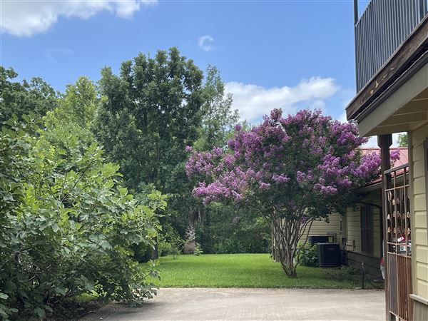 Williamson House (6/9/2025 - Credits: submitted by: Barbara Williamson)