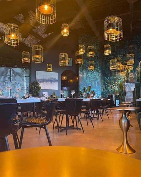 Savor Tapas Bar (5/25/2025 - Credits: Rory Schepisi)