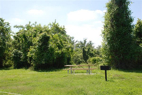 Riverside Park (3/22/2012)