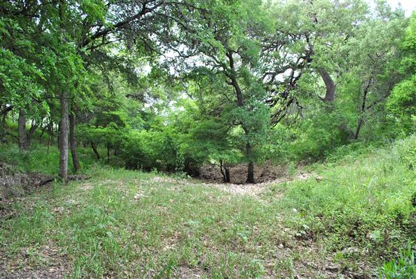 Phil Hardberger Park (4/7/2012)