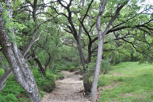 Phil Hardberger Park (4/7/2012)