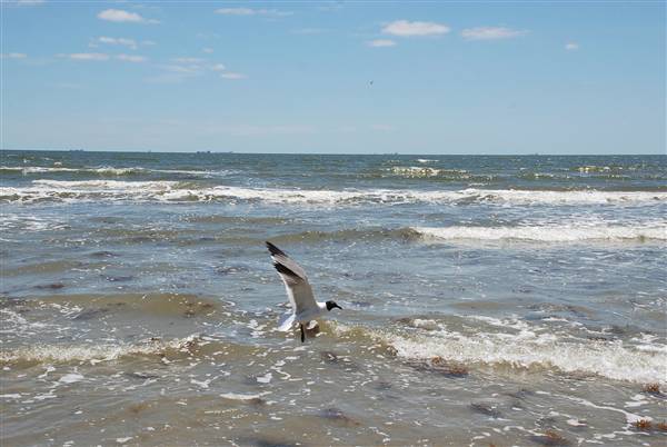 Stewart Beach (4/19/2012)