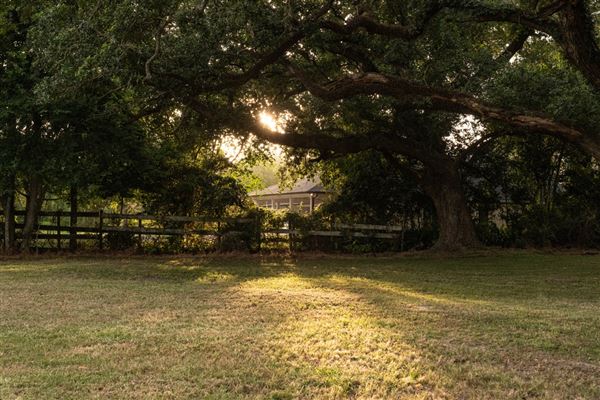 The Oaks of Anahuac (8/8/2025 - Credits: Jeff Fitlow Photography)