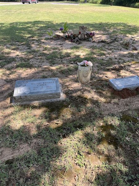Mount Olive Historic Cemetery (9/25/2025 - Credits: Ashley Thomas)