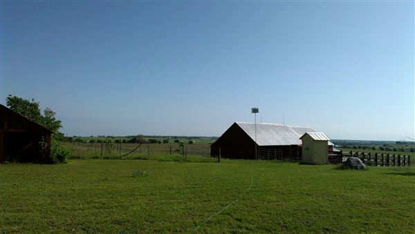 Maeshill Farm (11/25/2025 - Credits: Ann Campbell)