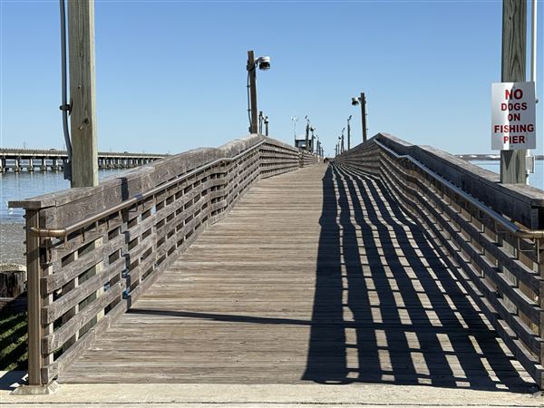 Lighthouse Beach Park & Campground (1/9/2026 - Credits: submitted by: Tania French)