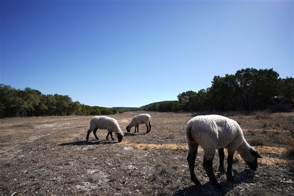 Four Winns Ranch (1/29/2026 - Credits: Jamal Burrell)