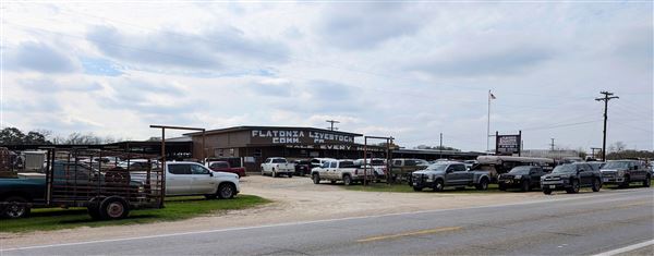 Flatonia (2/5/2026 - Credits: submitted by: Ginny  Sears)